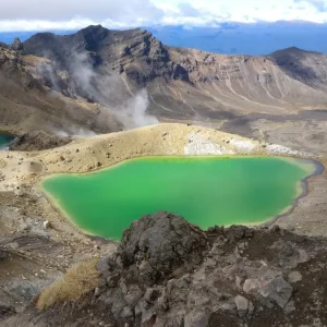 Dundee Adventure Travel | PUKEKO Auckland-Wellington Select Tour (Twinshare) 35969-604ef7ce-f132-4602-9961-ae577b8a7e86-fullsize