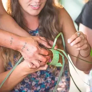 Dundee Adventure Travel | PUKEKO Auckland-Wellington Select Tour (Twinshare) 35973-753dabdf-d1bb-439e-83bf-26ccbadca070-thumbnail