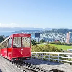 Dundee Adventure Travel | PUKEKO Auckland-Wellington Select Tour (Twinshare) 35973-896a267d-9b72-46c6-a74b-1fa6816d32f2-thumbnail