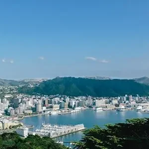 Dundee Adventure Travel | PUKEKO Auckland-Wellington Select Tour (Twinshare) 35973-afa608b7-a074-48ff-bc53-ef93a652a0f2-thumbnail