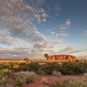 Stunning Views of Uluru