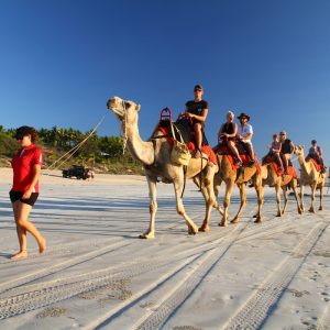 Travelers being guided on a camel ride along the beach