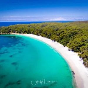 36221-872ec807-e4a7-4a96-8c96-47620512852e-fullsize