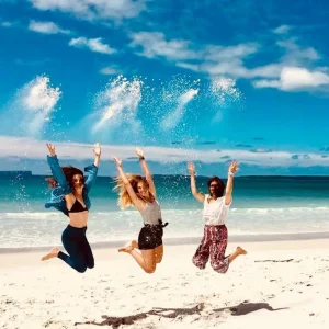 Jervis Bay dolphin cruise day tour from Sydney with beach visits and Hyams Beach stop