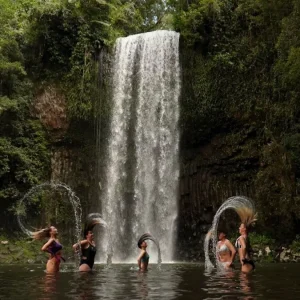 Dundee Adventure Travel | Fun, Falls & Forest Day Tour from Cairns 36732-5e447a3e-7344-4feb-a336-290cd90c7acd-fullsize