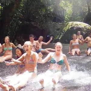 Dundee Adventure Travel | Fun, Falls & Forest Day Tour from Cairns 36732-ae73bb22-38ae-4437-bc80-1c3fbec1b8ff-thumbnail