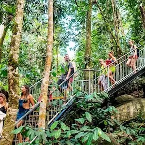 Dundee Adventure Travel | Fun, Falls & Forest Day Tour from Cairns 36732-c99a516d-962e-44e2-8a6e-4334dd87d961-thumbnail