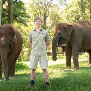 Visitors enjoying a day at Australia Zoo, cuddling a koala and exploring wildlife exhibits.
