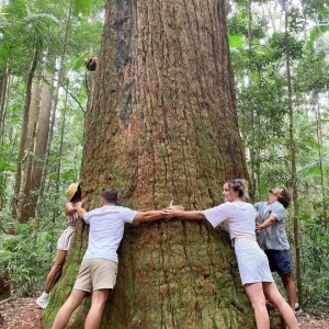 Dundee Adventure Travel | K’gari Explorer Tours | K’gari Overnight Tour – Hervey Bay – Resort Style 37300-f52f0522-6cca-4e21-8914-095e6dee3e05-fullsize