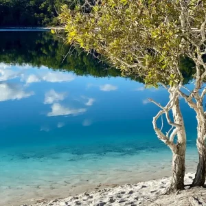 Dundee Adventure Travel | Drop Bear | 3-Day 2 Nights K’gari 4WD Tag-Along Adventure 37401-253ab62c-db82-41e9-8b7e-83046c52feaf-fullsize