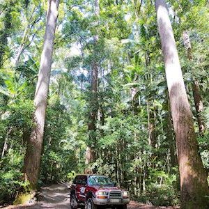 Photo Shoot for K'Gari Fraser Island Adventures.