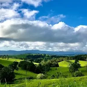 37478-225a9f87-76b6-4421-b062-65ddeee7d4e1-thumbnail