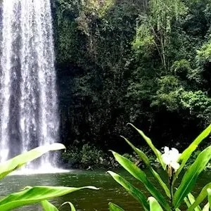 37478-a0a76083-c3a0-4553-be11-f17afd107666-thumbnail