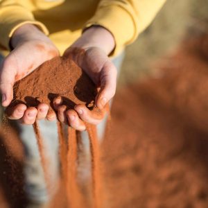 Hands holding red desert sand in the Australian Outback
