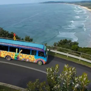 Dundee Adventure Travel | Nimbin day tour from Byron Bay 37913-f2020a38-dd89-4bd6-8faf-0cb6d492ed21-midsize