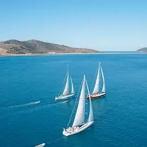 Dundee Adventure Travel | Hammer | 2-Day 2-Nights Whitsundays Maxi Sailing Adventure 38009-4273ef29-28af-4357-a518-9a8f761449f7-thumbnail