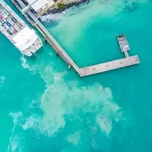 Dundee Adventure Travel | Kangaroo Island Adventure Tour 38508-e96363cc-088c-4da5-af4b-277526ae9572-thumbnail