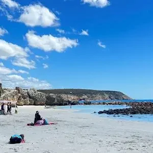 Dundee Adventure Travel | Kangaroo Island Adventure Tour 38508-ef9778b0-8cc5-4cb6-b234-412c9d7e7c69-thumbnail