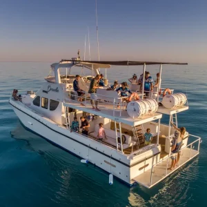 Dundee Adventure Travel | Broome Whale Watching | Broome Whale Watching and Sunset Cruise 38658-9ceb3fe4-b813-494c-a560-22ba562dff4d-fullsize