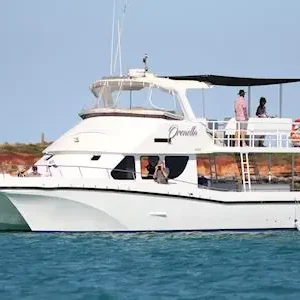 Dundee Adventure Travel | Broome Whale Watching | Snubfin Dolphin Cruises 38659-a64e573e-f03c-4ee0-87c9-412e71e17086-thumbnail