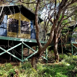 38837-c23ba2db-052e-42f2-9dbc-fd1fbf3655e9-fullsize