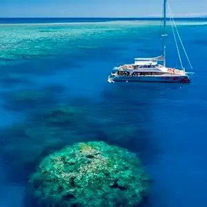 Dundee Adventure Travel | Passions of Paradise (Snorkel) 39579-44725076-3aea-453c-a7c9-af8c8d67d989-thumbnail