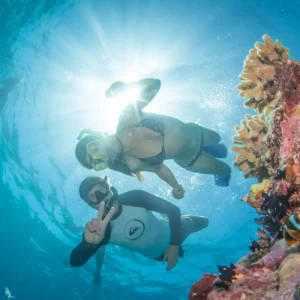 Dundee Adventure Travel | Passions of Paradise (Snorkel) 39579-5b7a72bc-30ac-4f01-94d1-780756339a7a-fullsize