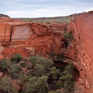 Dundee Adventure Travel | Uluru Adventure – Alice Springs to Yulara 39778-958da4dc-514a-4be2-8657-bc73026922d7-fullsize