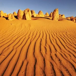 39781-e38395e2-d1ee-4230-a123-281054e4fa9f-fullsize