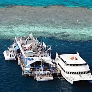 Dundee Adventure Travel | HeliReef Whitsunday | Best of Both Worlds Helicopter Tour 39815-76ba7007-ae6f-442c-adf9-e616aa361cbb-thumbnail