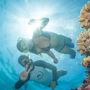 Dundee Adventure Travel | Passion of Paradise | Snorkel & Dive the Great Barrier Reef SAVE $50 39856-d7ab4446-3148-47fb-b07a-2bfa53e96c48-thumbnail