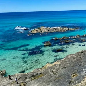 40080-165adff2-1b6a-4536-b763-570c1bd4ad35-fullsize