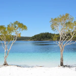 Dundee Adventure Travel | K’gari Explorer Tours | K’gari Overnight Tour – Hervey Bay – Resort Style 40221-3bc398ed-726c-452b-b0f9-79965a813506-fullsize