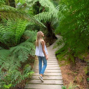 41283-a1d4274b-cb46-4cf4-8410-18529128d75b-fullsize