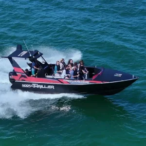 Dundee Adventure Travel | Noosa Thriller | Whale Watch 41467-32fb8340-2481-46d8-b5e7-d2c438ead005-fullsize