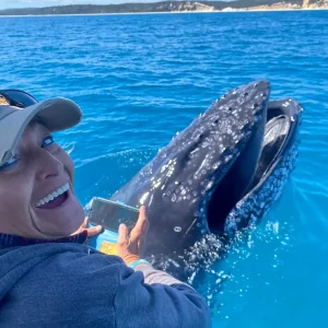 Dundee Adventure Travel | Noosa Thriller | Whale Watch 41467-ed0cbda0-d940-402e-9b85-f8836272a745-fullsize (1)