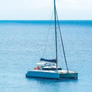 41510-c2c50d44-717e-4191-8c04-01d4e0f11b0c-fullsize