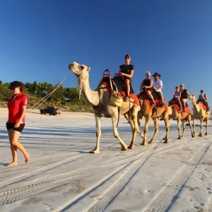 Camel ride along Cable Beach at sunset in Broome, Western Australia