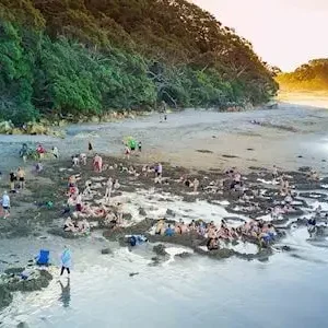 Dundee Adventure Travel | TUI Auckland – Christchurch Adventure Tour 42345-ee1aa71d-9095-4012-a274-00444ca1a6f6-thumbnail