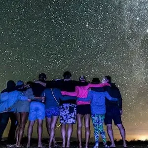 Dundee Adventure Travel | WEKA Picton-Christchurch Adventure Tour 42347-618525ff-dcfd-4493-a877-54e6ca13db3c-thumbnail