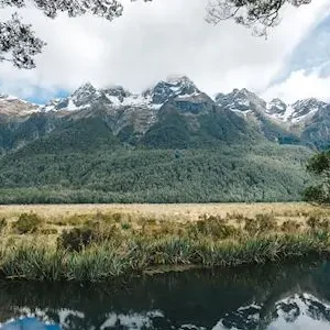 Dundee Adventure Travel | WEKA Picton-Christchurch Adventure Tour 42347-ad895555-d897-431e-8726-b3d2d9ce29a0-thumbnail