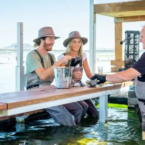 Dundee Adventure Travel | Untamed Escapes | Coffin Bay Day Tour 42348-b1035d3d-e567-4192-8db1-0332e9d6e8d8-midsize