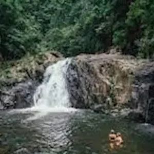 Dundee Adventure Travel | Cairns Canyoning | Cairns Explorer Tour 42641-27a0110d-8dd5-45f1-8b4c-9ba92a484814-thumbnail