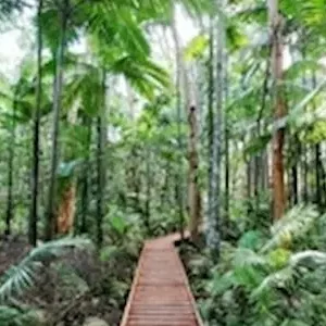 Dundee Adventure Travel | Cairns Canyoning | Cairns Explorer Tour 42641-8f2a92f5-466e-415c-bce4-bdef4805e205-thumbnail