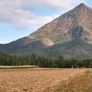 Dundee Adventure Travel | Cairns Canyoning | Cairns Explorer Tour 42641-c3868d70-c50b-4505-952c-8aa1ec44a744-thumbnail