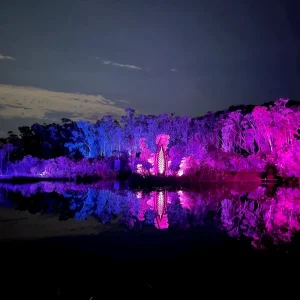 42678-be0efea0-9643-4752-b255-529091a13068-fullsize