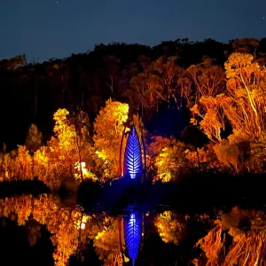 42678-cc5f5ede-82d1-41fd-8104-abd4be540259-fullsize