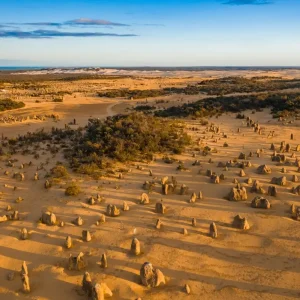 42704-88bb1c0f-7be7-464a-91ea-d4f8807d4097-fullsize (1)