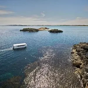 Dundee Adventure Travel | Margaret River and Wildlife Adventure 43255-2a48a38b-63fb-47d2-ac02-b09ae7b61ff2-thumbnail