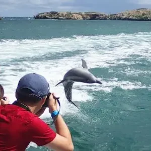 Dundee Adventure Travel | Margaret River and Wildlife Adventure 43255-ef42125d-7cbb-47c4-9442-8860bef12286-thumbnail